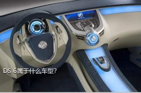 DS 6属于什么车型？