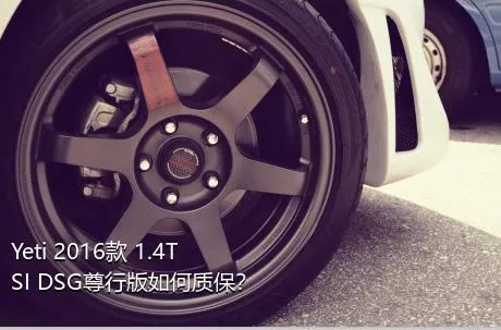 Yeti 2016款 1.4TSI DSG尊行版如何质保？