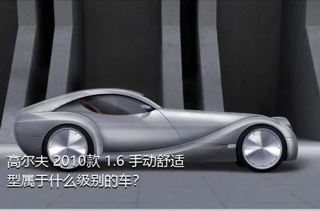 高尔夫 2010款 1.6 手动舒适型属于什么级别的车？