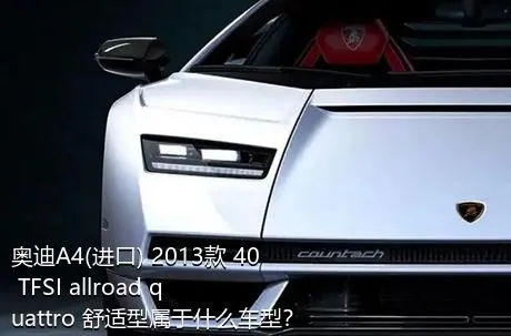 奥迪A4(进口) 2013款 40 TFSI allroad quattro 舒适型属于什么车型？