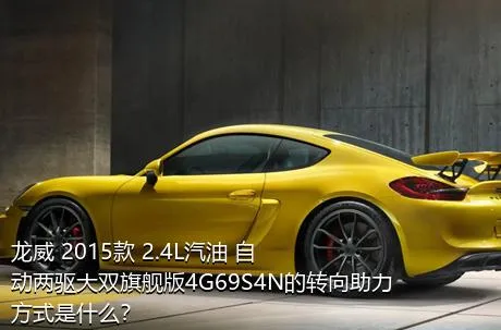 龙威 2015款 2.4L汽油 自动两驱大双旗舰版4G69S4N的转向助力方式是什么？