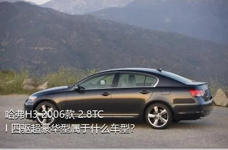 哈弗H3 2006款 2.8TCI 四驱超豪华型属于什么车型？