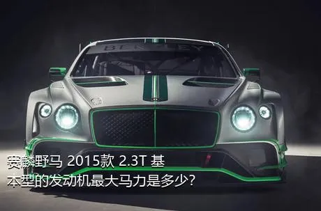 赛麟野马 2015款 2.3T 基本型的发动机最大马力是多少？