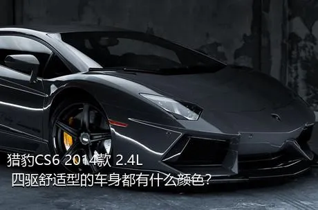 猎豹CS6 2014款 2.4L 四驱舒适型的车身都有什么颜色？