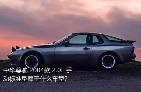 中华尊驰 2004款 2.0L 手动标准型属于什么车型？