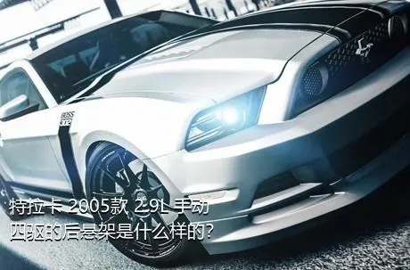 特拉卡 2005款 2.9L 手动四驱的后悬架是什么样的？