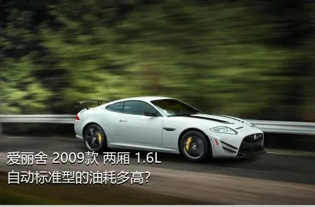 爱丽舍 2009款 两厢 1.6L 自动标准型的油耗多高？