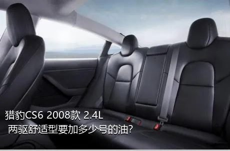 猎豹CS6 2008款 2.4L 两驱舒适型要加多少号的油？