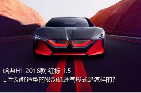 哈弗H1 2016款 红标 1.5L 手动舒适型的发动机进气形式是怎样的？