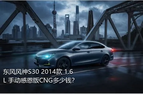 东风风神S30 2014款 1.6L 手动感恩版CNG多少钱？