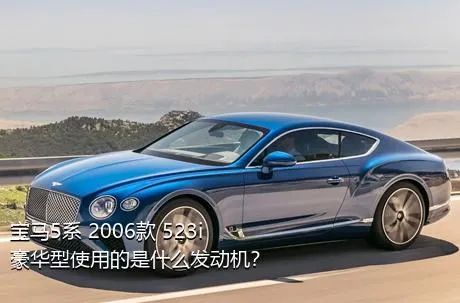 宝马5系 2006款 523i 豪华型使用的是什么发动机？