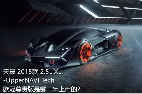 天籁 2015款 2.5L XL-UpperNAVI Tech欧冠尊贵版是哪一年上市的？