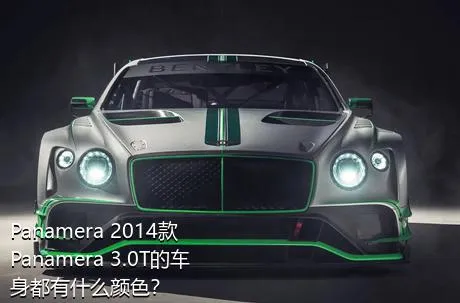 Panamera 2014款 Panamera 3.0T的车身都有什么颜色？