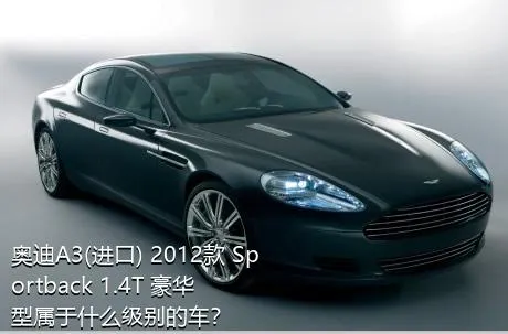 奥迪A3(进口) 2012款 Sportback 1.4T 豪华型属于什么级别的车？