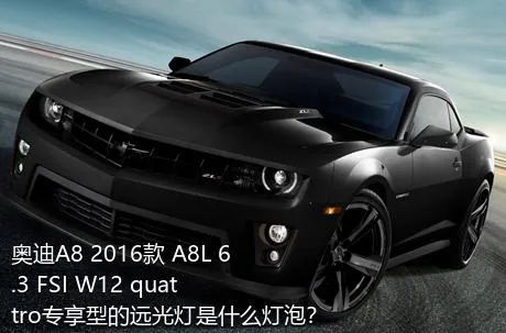 奥迪A8 2016款 A8L 6.3 FSI W12 quattro专享型的远光灯是什么灯泡？