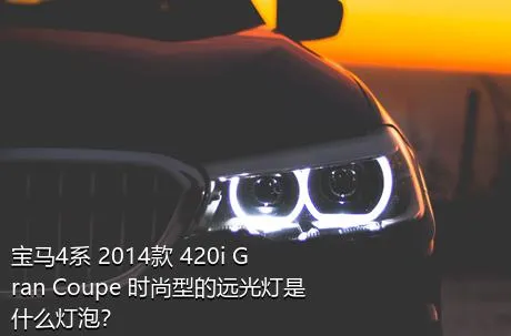 宝马4系 2014款 420i Gran Coupe 时尚型的远光灯是什么灯泡？