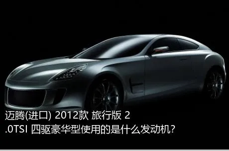 迈腾(进口) 2012款 旅行版 2.0TSI 四驱豪华型使用的是什么发动机？