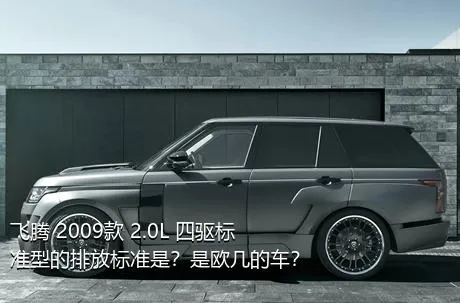 飞腾 2009款 2.0L 四驱标准型的排放标准是？是欧几的车？