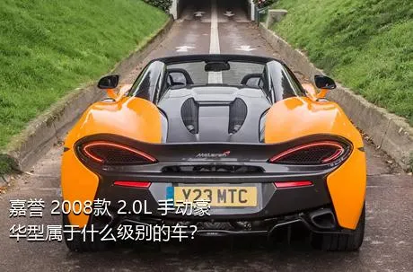 嘉誉 2008款 2.0L 手动豪华型属于什么级别的车？