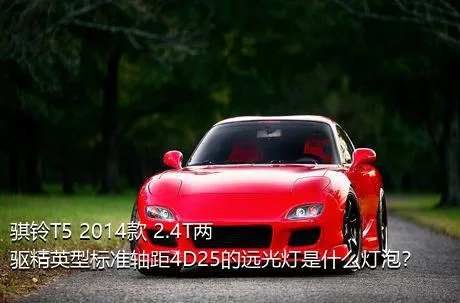 骐铃T5 2014款 2.4T两驱精英型标准轴距4D25的远光灯是什么灯泡？