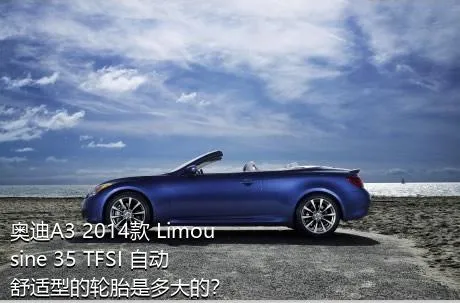 奥迪A3 2014款 Limousine 35 TFSI 自动舒适型的轮胎是多大的？