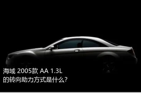 海域 2005款 AA 1.3L的转向助力方式是什么？