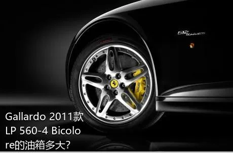 Gallardo 2011款 LP 560-4 Bicolore的油箱多大？