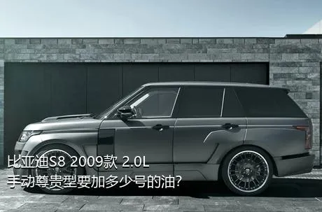 比亚迪S8 2009款 2.0L 手动尊贵型要加多少号的油？