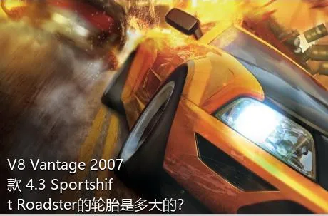 V8 Vantage 2007款 4.3 Sportshift Roadster的轮胎是多大的？