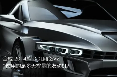 金威 2014款 2.0L厢货V20使用的是多大排量的发动机？