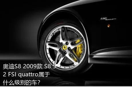 奥迪S8 2009款 S8 5.2 FSI quattro属于什么级别的车？