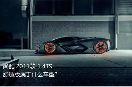 尚酷 2011款 1.4TSI 舒适版属于什么车型？