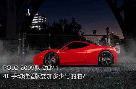 POLO 2009款 劲取 1.4L 手动雅适版要加多少号的油？