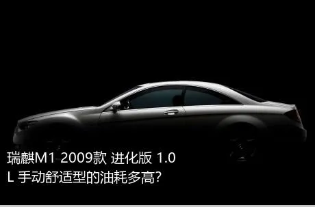 瑞麒M1 2009款 进化版 1.0L 手动舒适型的油耗多高？