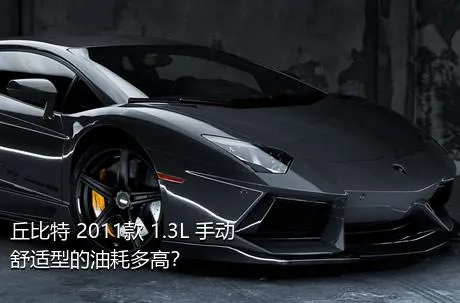 丘比特 2011款 1.3L 手动舒适型的油耗多高？