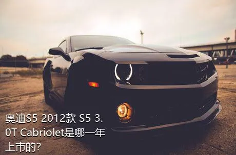 奥迪S5 2012款 S5 3.0T Cabriolet是哪一年上市的？