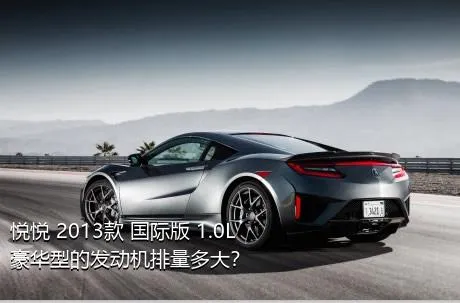 悦悦 2013款 国际版 1.0L 豪华型的发动机排量多大？