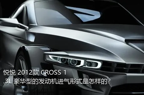 悦悦 2012款 CROSS 1.3L 豪华型的发动机进气形式是怎样的？