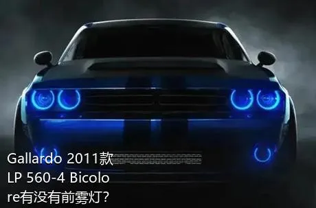 Gallardo 2011款 LP 560-4 Bicolore有没有前雾灯？