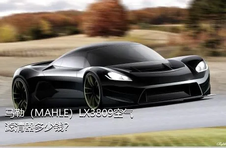 马勒（MAHLE）LX3809空气滤清器多少钱？