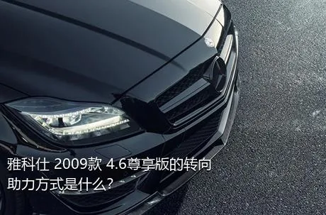 雅科仕 2009款 4.6尊享版的转向助力方式是什么？