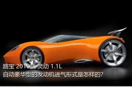 路宝 2010款 灵动 1.1L 自动豪华型的发动机进气形式是怎样的？