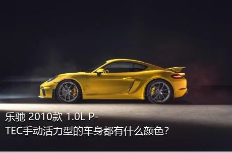 乐驰 2010款 1.0L P-TEC手动活力型的车身都有什么颜色？