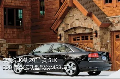 奔驰SLK级 2011款 SLK 200 豪华运动型能放MP3吗？