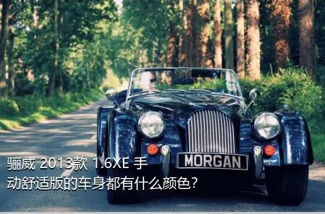 骊威 2013款 1.6XE 手动舒适版的车身都有什么颜色？