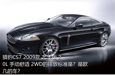 猎豹CS7 2009款 艺术版 2.0L 手动舒适 2WD的排放标准是？是欧几的车？