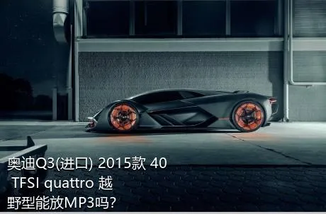 奥迪Q3(进口) 2015款 40 TFSI quattro 越野型能放MP3吗？