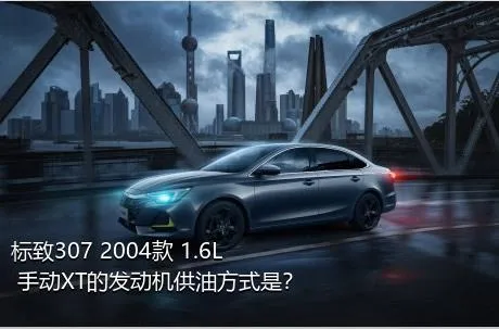 标致307 2004款 1.6L 手动XT的发动机供油方式是？