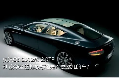 奥迪Q5 2012款 2.0TFSI 豪华型的排放标准是？是欧几的车？