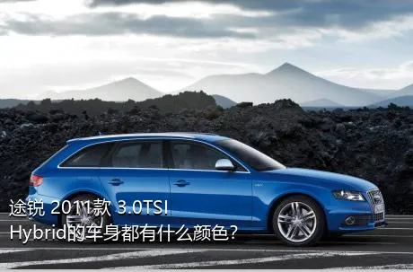 途锐 2011款 3.0TSI Hybrid的车身都有什么颜色？